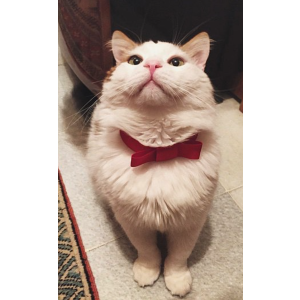 test (Thu, 26 Feb 2026)